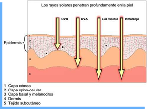 Foto Nota 1