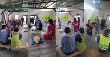 Foto noticia SST - Capacitaci&oacute;n en RCP y Primeros Auxilios en Puertos Escobar