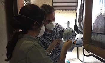 Foto de AMBIENTE Y DESARROLLO SUSTENTABLE